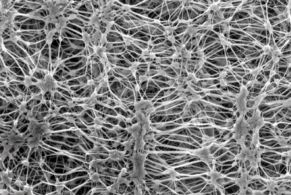 Die Funktionen von Wasserdicht und Feuchtigkeit durchlässig von PTFE Micro Porous Membran