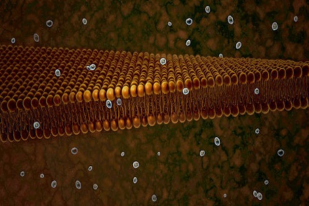 Chemie und Haltbarkeit: Wie Teflon membranen Laborgeräte verbessern