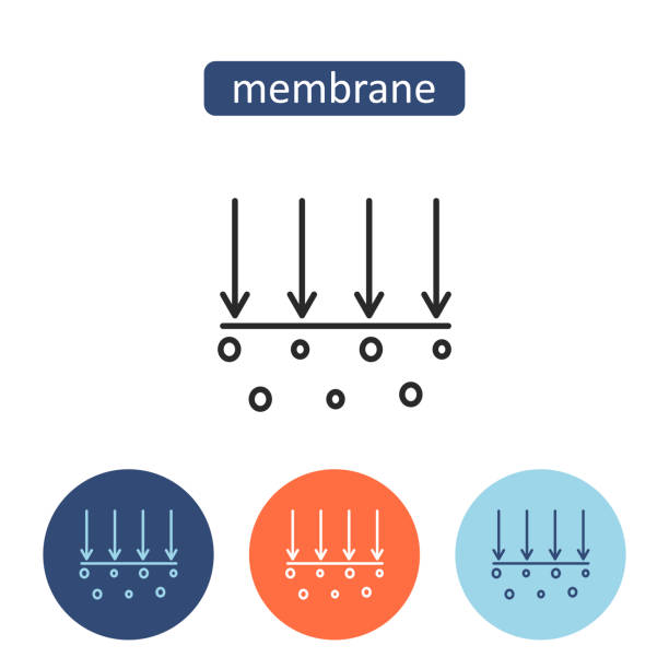 Anwendungen von mikro porösen Membranen in der Wasser filtration