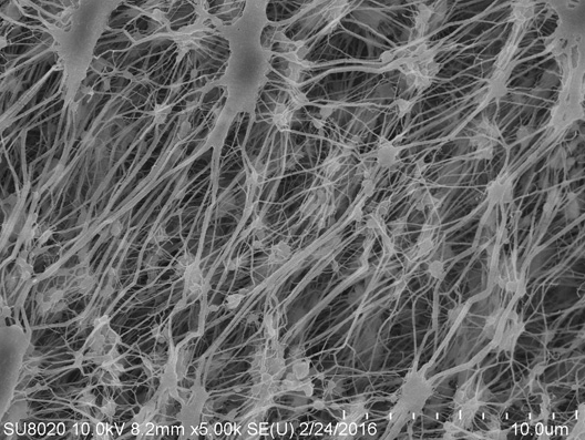 Eigenschaften und Eigenschaften der Poly tetra fluor ethylen membran